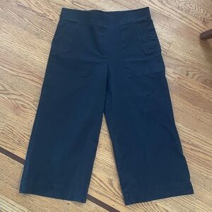 SPANX On The Go Wide Leg Crop Pants Size XL Black Elastic‎ Waist Pull On Stretch